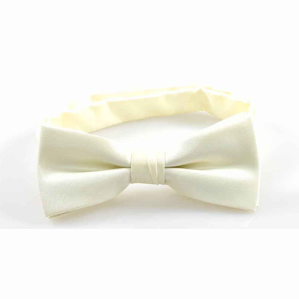 SCHLEIFE BRISTON CHAMPAGNER